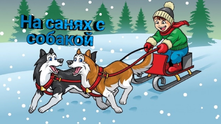 Мальчик катается на санях в упряжке