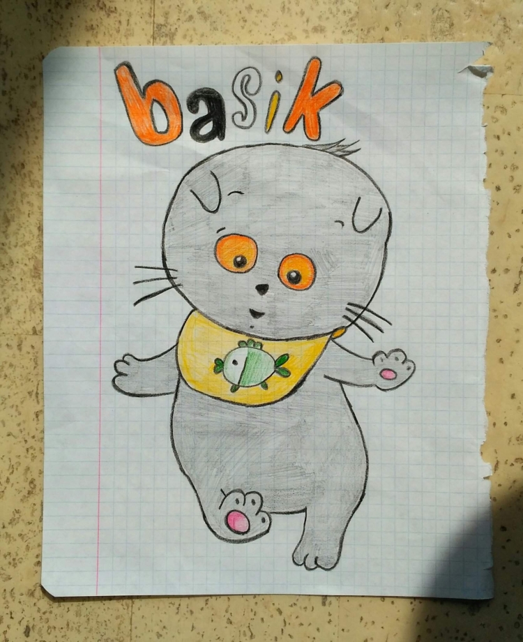 Рисунок Басика
