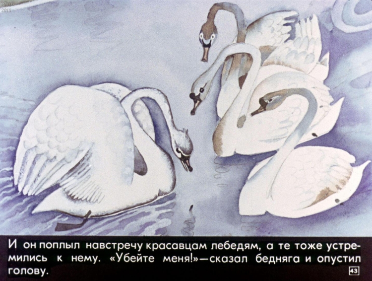 Раскраска. Гадкий утенок