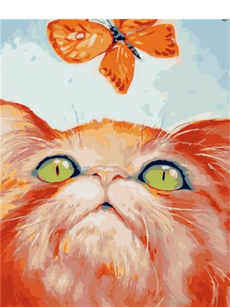 Кот с бабочкой на носу рисунок