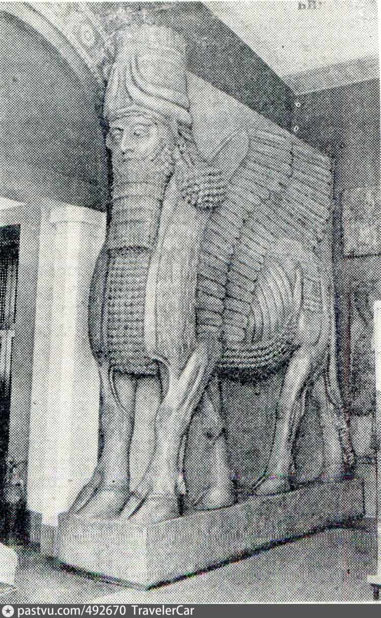Крылатый бык Ассирия рисунок