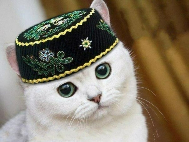 Татарские мультики Габдуллы Тукая