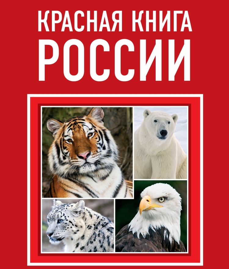 Животные из красной книги россии рисунки