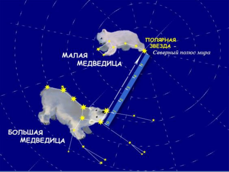 Созвездие большой и малой медведицы и Полярная звезда
