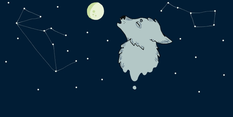 Большая Медведица (Ursa Major)