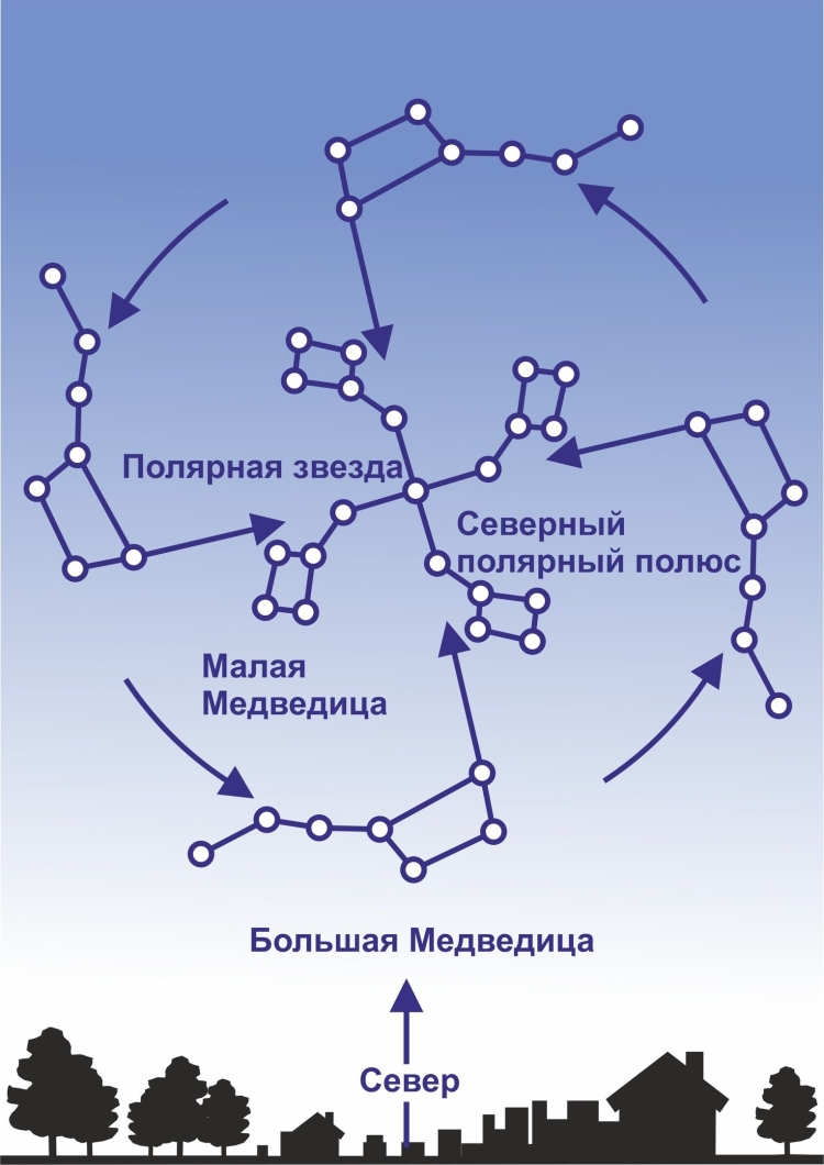 Плакат созвездия
