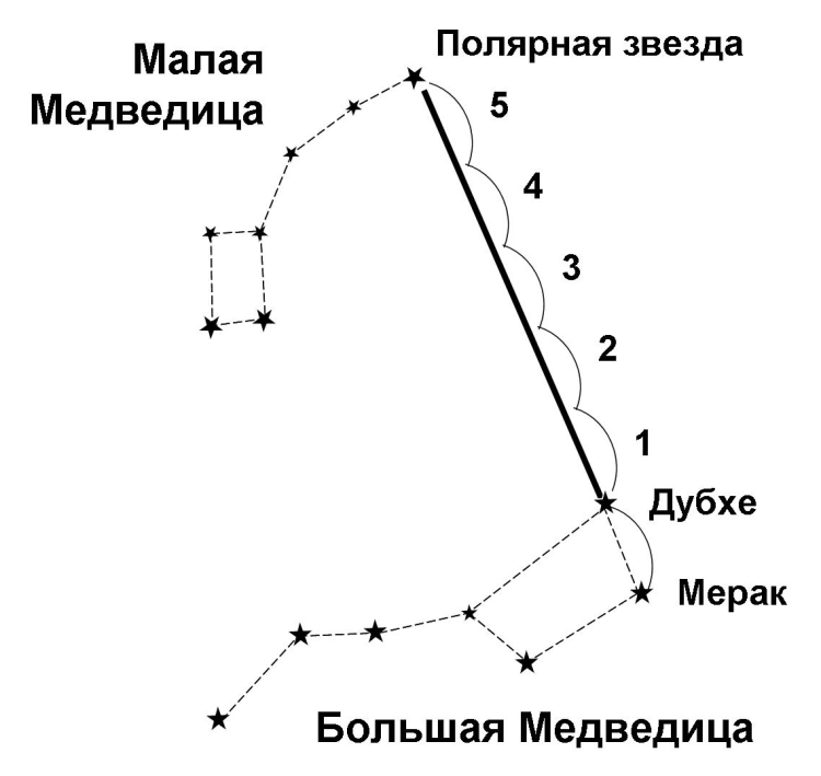 Созвездие большой и малой медведицы