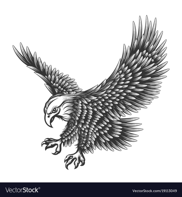 Векторный рисунок орел