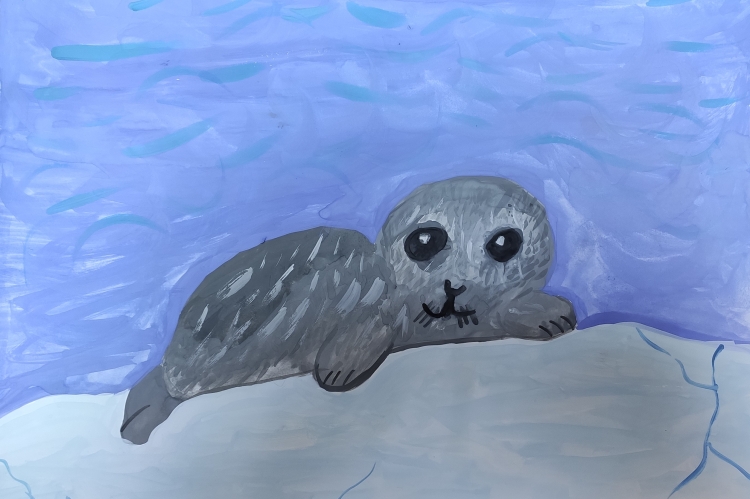 Тюлень на льдине рисунок