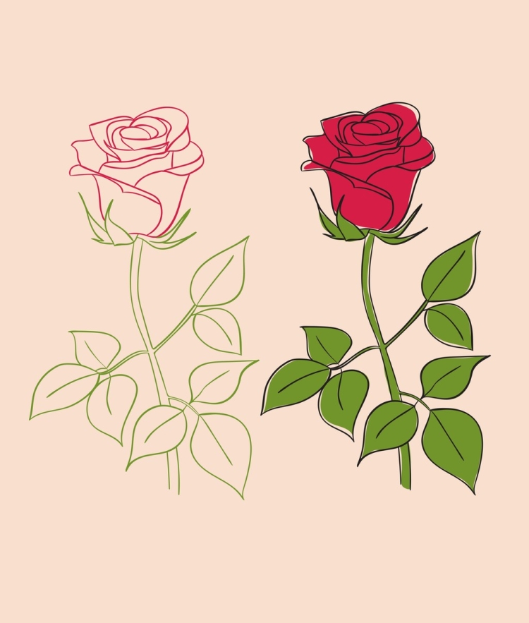 Рисунок розы кустовые