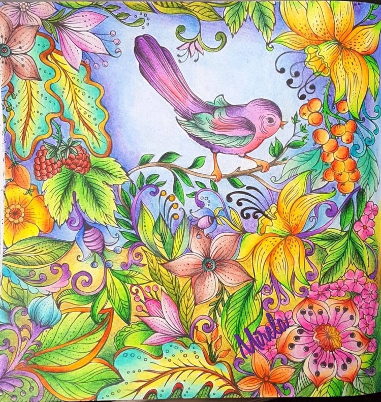 Сказки о животных книга
