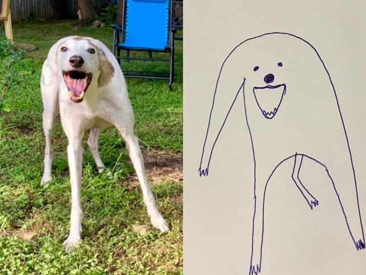 Неудачные рисунки