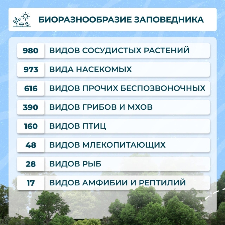 Тату змея