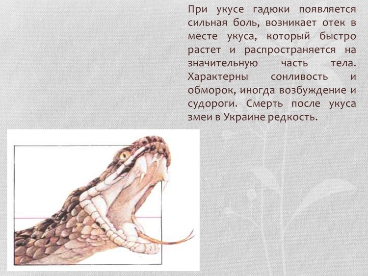 Тату змея на белом фоне