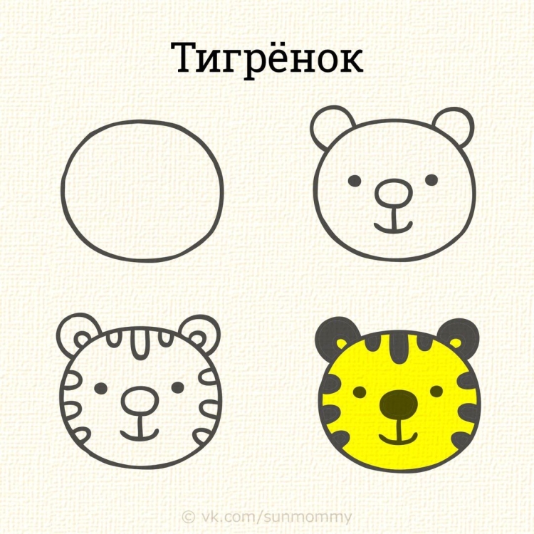 Мордочки животных рисунки легкие