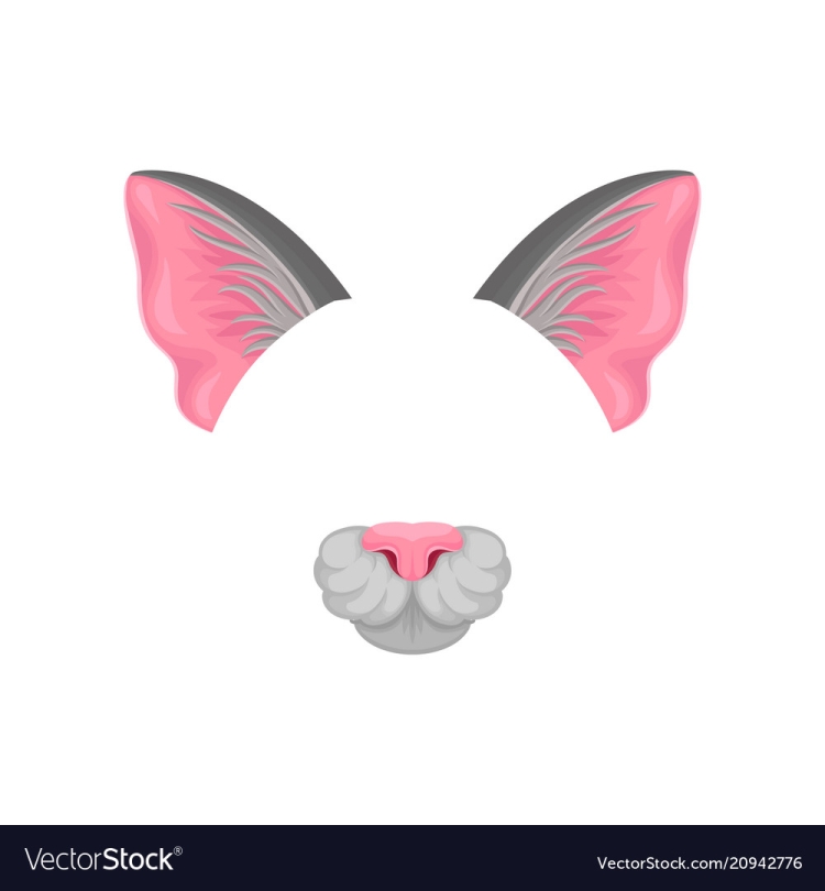Нос кота рисунок