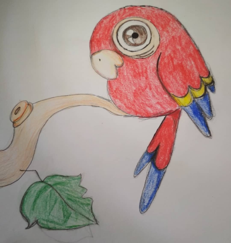 Простой рисунок попугай