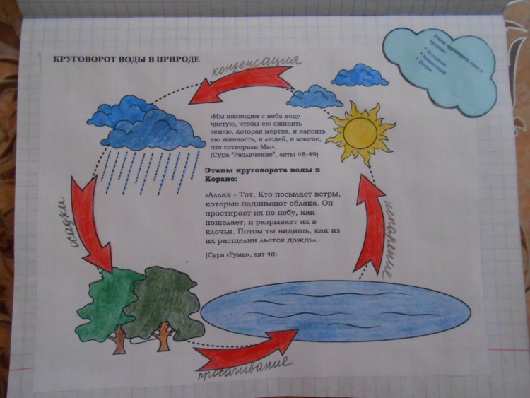 Путешествие капельки воды в природе