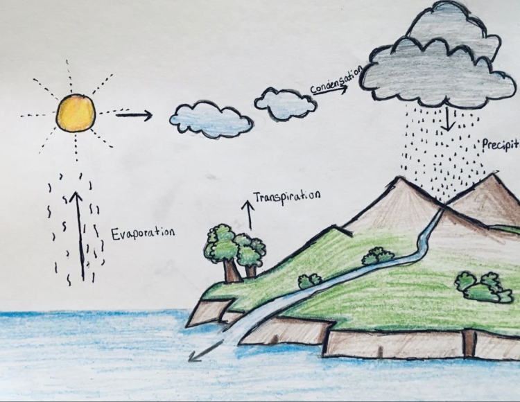 Приключение капельки воды