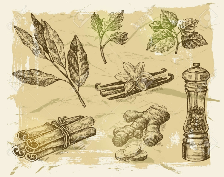 Пряности Винтаж рисунок
