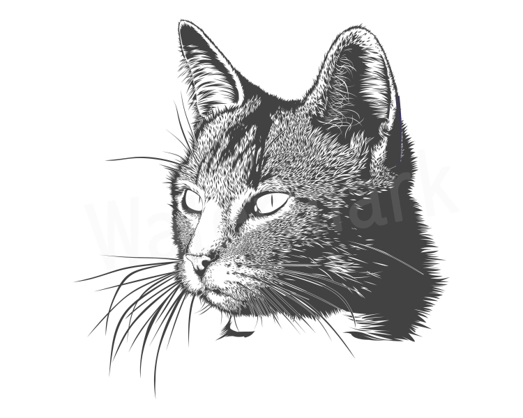 Графический кот рисунок