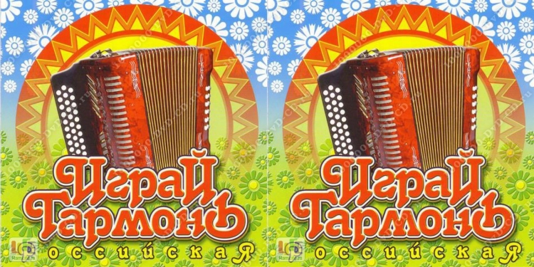 Гармонист рисунок