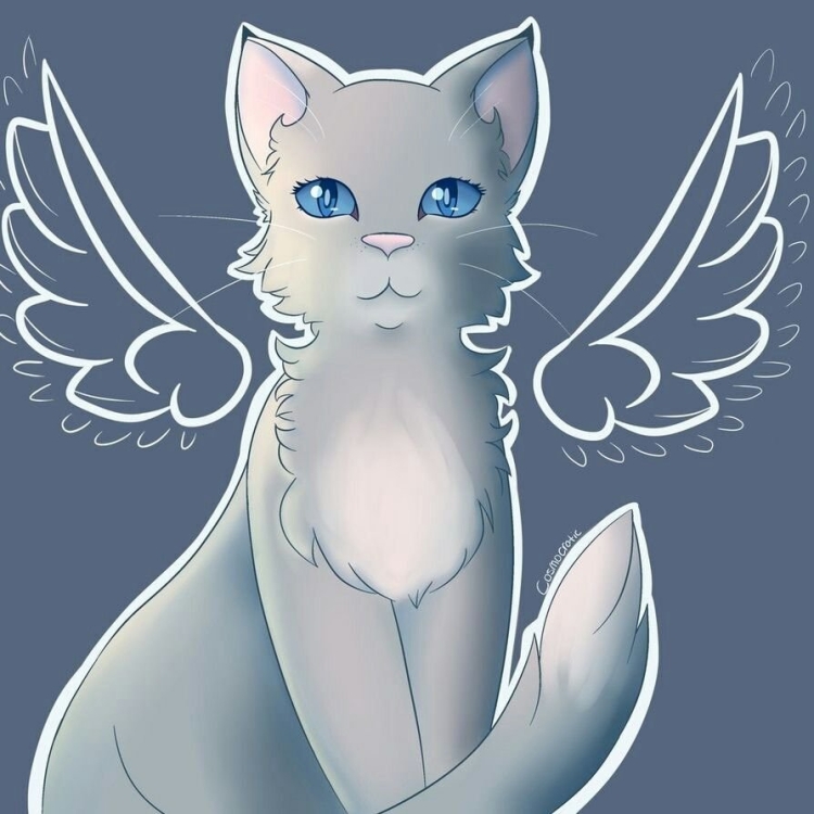 Кот с крыльями рисунок