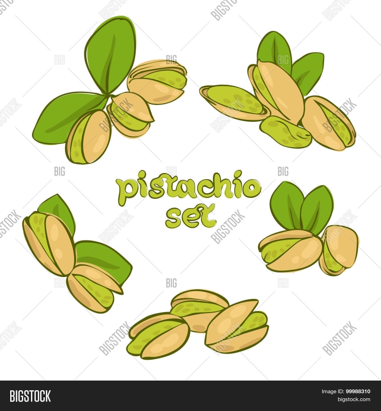 Фисташки рисунок