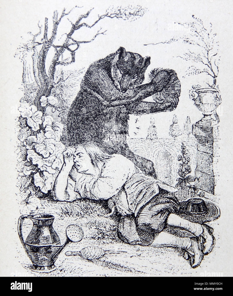 Дикий помещик рисунок