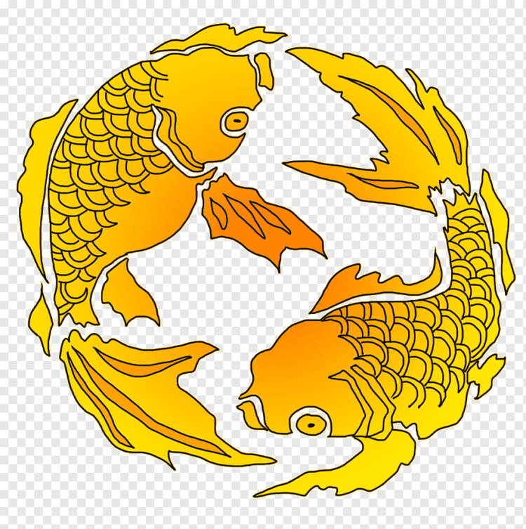 Карась рисунок