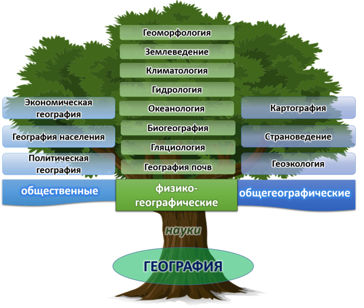 Дерево географических наук