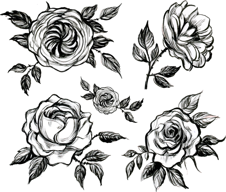 Rosa Vintage Blanco y negro