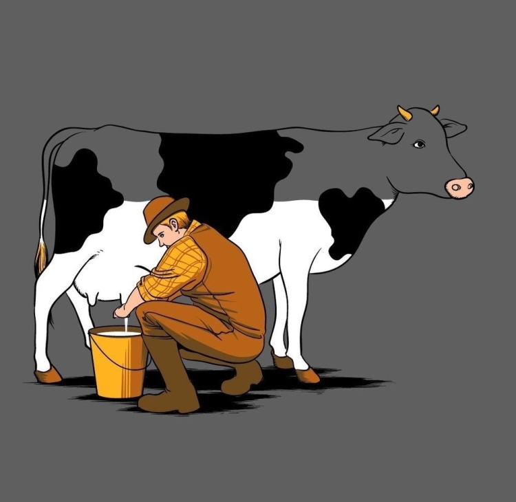 Корова с теленком рисунок