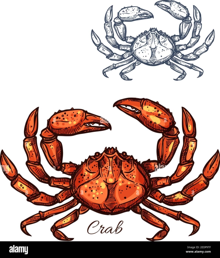 Рисунок камчатский краб