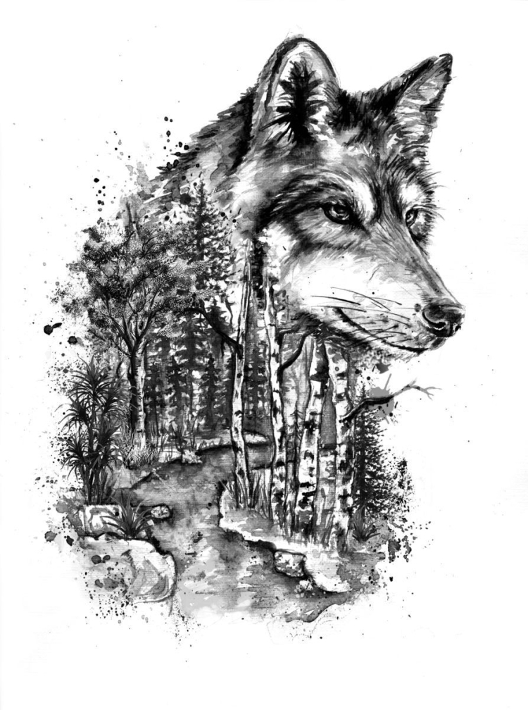 Волк рисунок графика
