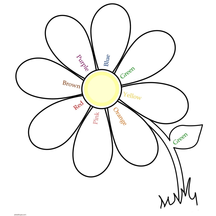 Раскраски Цветы Антистресс для взрослых — Распечатывайте бесплатно