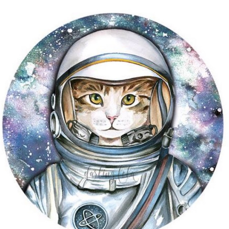 Кот космонавт арт