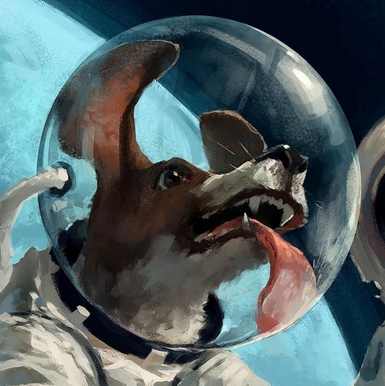 Собаки космонавты