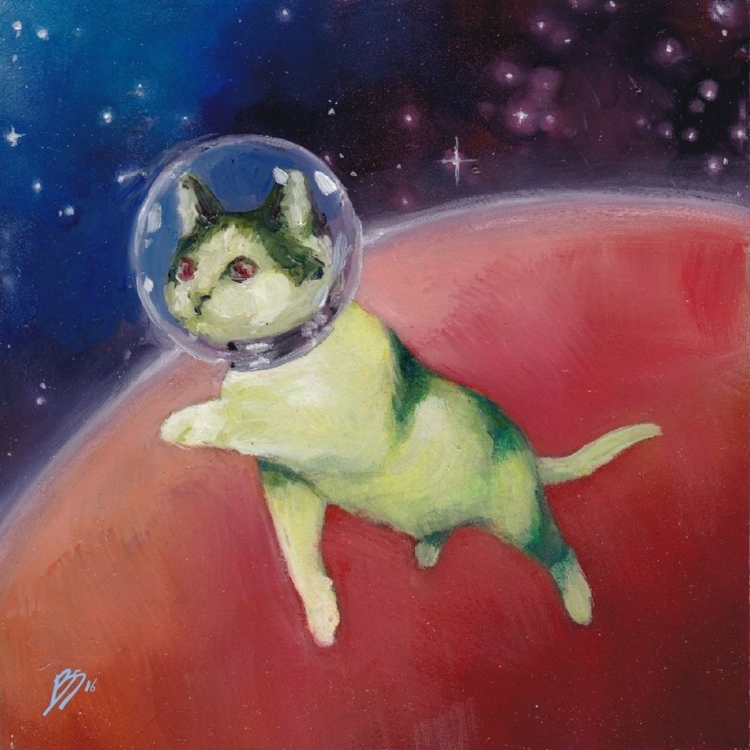 Котик в космосе