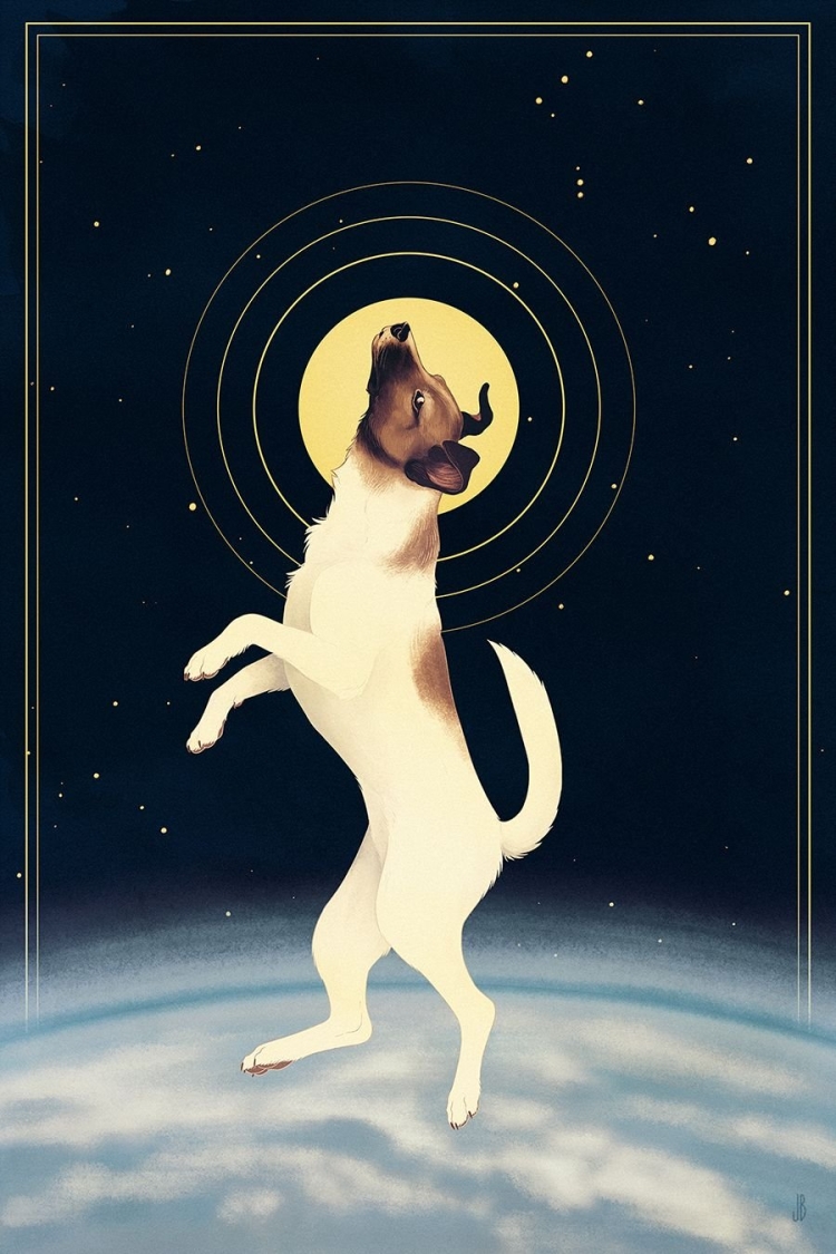 Космические собаки