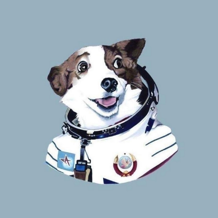 Космические собаки