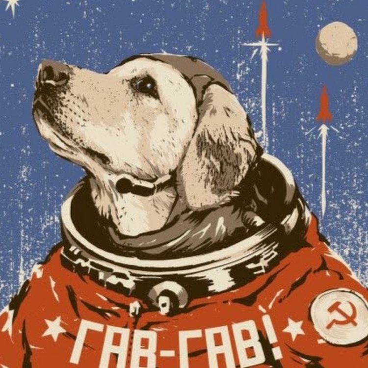 Собаки космонавты