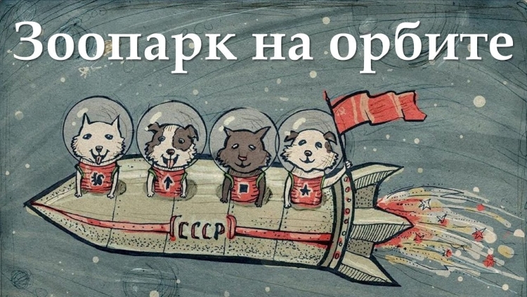 Животные в космосе рисунки