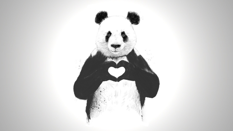 Панда с сердечком рисунок