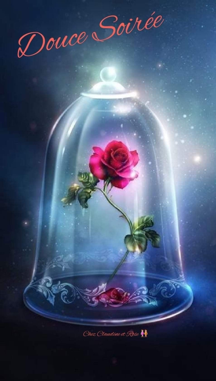 Красавица и чудовище роза
