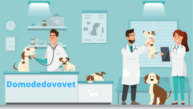Ветеринарная клиника Мурвет