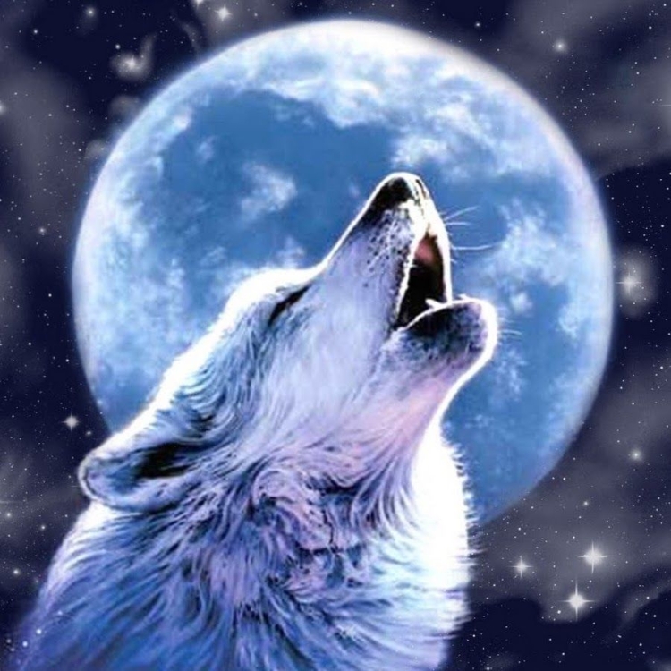 Рисунок волк и луна