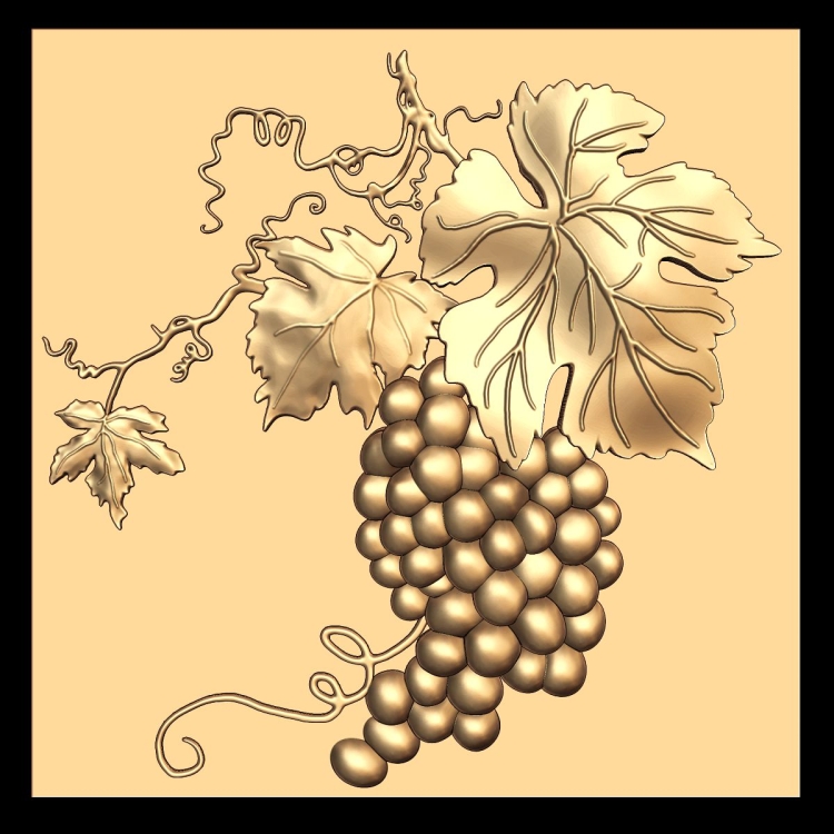 Лоза винограда рисунок