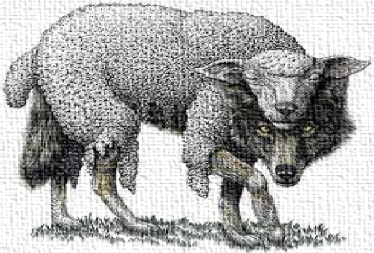 Волк в овечьей шкуре эскиз