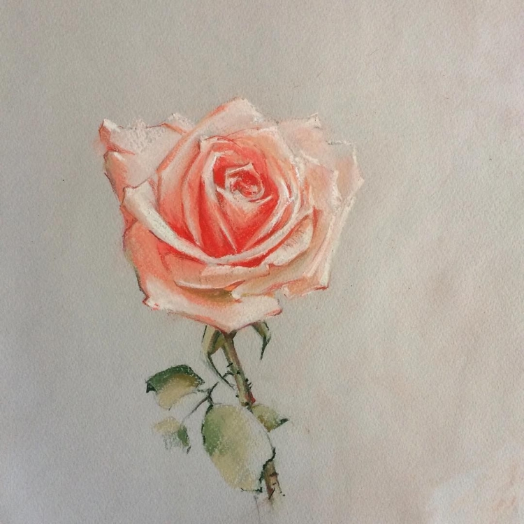 Рисунок розы гуашью